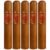 PACK OF 5