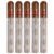 PACK OF 5