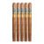 PACK OF 5
