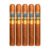 PACK OF 5