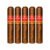 PACK OF 5