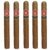 PACK OF 5