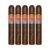 PACK OF 5
