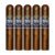 PACK OF 5