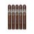 PACK OF 5