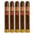 PACK OF 5