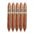 PACK OF 5
