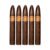 PACK OF 5