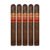 PACK OF 5