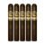 PACK OF 5