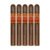 PACK OF 5