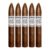 PACK OF 5