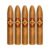 PACK OF 5