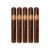 PACK OF 5