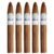 PACK OF 5