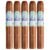 PACK OF 5