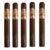 PACK OF 5