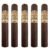 PACK OF 5
