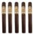 PACK OF 5