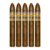 PACK OF 5