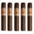 PACK OF 5