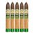 PACK OF 5