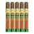 PACK OF 5