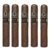 PACK OF 5
