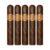 PACK OF 5