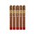 PACK OF 5