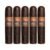 PACK OF 5