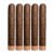 PACK OF 5