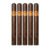 PACK OF 5