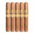 PACK OF 5