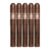 PACK OF 5