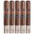 PACK OF 5