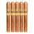 PACK OF 5