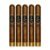 PACK OF 5