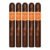 PACK OF 5