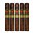 PACK OF 5