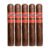 PACK OF 5