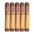PACK OF 5