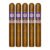 PACK OF 5