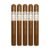 PACK OF 5
