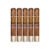PACK OF 5