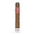CIGAR