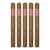 PACK OF 5