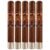 PACK OF 5