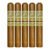 PACK OF 5