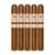 PACK OF 5